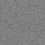 Aisha Kirlin aisha-kirlin-kali-borer-1756420706.jpeg