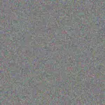 Alan Solomons alan-solomons-megan-naude-1756420320.jpeg