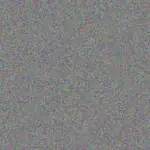 Albert Prinsloo albert-prinsloo-ruth-de-beer-1756420779.jpeg