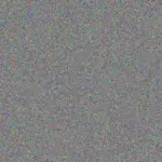 Alex Jansen van Rensburg alex-jansen-van-rensburg-victoria-engelbrecht-1756420981.jpeg