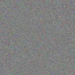 Alison Steenkamp alison-steenkamp-tshepiso-mbele-1756421285.jpeg