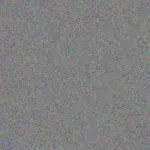 Amy Gray amy-gray-lauren-young-1756420156.jpeg