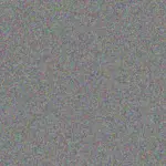 Andrea Mulaudzi andrea-mulaudzi-elizabeth-anthony-1756421277.jpeg