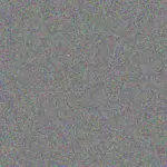 Anna Shaw anna-shaw-ella-cook-1756420163.jpeg