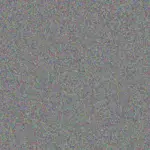 Anthony van Tonder anthony-van-tonder-stephanie-bekker-1756421021.jpeg