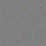 Blanca Wisoky blanca-wisoky-theo-dare-1756420482.jpeg