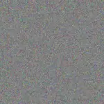 Boitumelo Coetzer boitumelo-coetzer-debbie-van-der-westhuizen-1756420292.jpeg