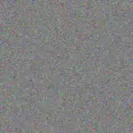 Brett Moodley brett-moodley-claudia-zuma-1756420965.jpeg