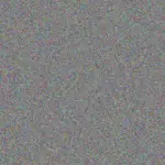 Carlie Price carlie-price-vernice-bartoletti-1756420646.jpeg