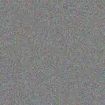 Carmen Steenkamp carmen-steenkamp-norman-ndebele-1756420773.jpeg