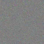 Carmine Rau carmine-rau-abbie-roob-1756420631.jpeg