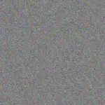 Carole White carole-white-eileen-russell-1756420133.jpeg