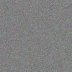 Casandra Heller casandra-heller-rollin-bauch-1756420657.jpeg