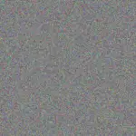 Celine Farrell celine-farrell-kendra-mitchell-1756420620.jpeg