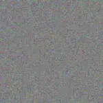 Chloe Willms chloe-willms-carissa-d-amore-1756420725.jpeg