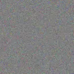 Cindy Allie cindy-allie-moses-barnes-1756420364.jpeg