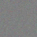 Cindy Robinson cindy-robinson-marc-mhlongo-1756420306.jpeg