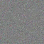 Coty Metz coty-metz-anthony-romaguera-1756420254.jpeg