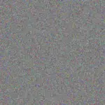 Deion Fisher deion-fisher-lola-hammes-1756420242.jpeg