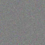 Desiree Smit desiree-smit-tracey-letsoalo-1756421347.jpeg