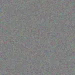 Desiree Steyn desiree-steyn-ingrid-brink-1756420387.jpeg