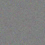 Devan Johns devan-johns-macy-schinner-1756420510.jpeg