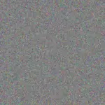 Devon Tromp devon-tromp-garry-williamson-1756420582.jpeg