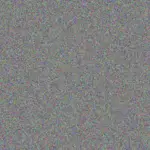 Diane Scott diane-scott-takalani-mpofu-1756420904.jpeg