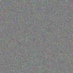 Dixie Hudson dixie-hudson-kobe-lueilwitz-1756420697.jpeg