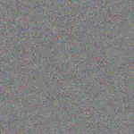 Elaine Gerber elaine-gerber-phumzile-mthembu-1756420371.jpeg