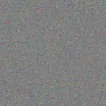 Elaine Muller elaine-muller-ben-zondo-1756421352.jpeg