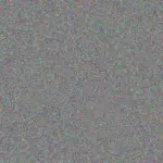 Francesca Walsh francesca-walsh-stephen-rose-1756420164.jpeg