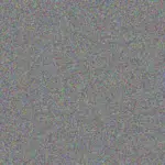 Gary Mhlanga gary-mhlanga-rodney-malan-1756421311.jpeg