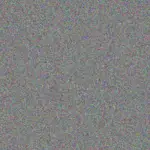 Hyman Haley hyman-haley-eileen-denesik-1756420633.jpeg