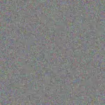 Ian Grobler ian-grobler-steven-benjamin-1756421371.jpeg