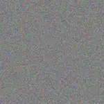 Ivan Els ivan-els-carmen-cassim-1756421326.jpeg