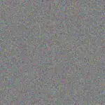 jacobus van Staden jacobus-van-staden-craig-van-schalkwyk-1756420839.jpeg