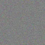 Jazmyn Robel jazmyn-robel-eleonore-carroll-1756420222.jpeg