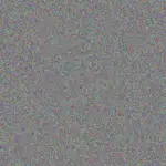 Jenny Hughes jenny-hughes-nicole-harmse-1756421360.jpeg