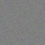 Jeremy Romaguera jeremy-romaguera-oswaldo-von-1756420686.jpeg