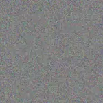 Judith Makhanya judith-makhanya-personal-ross-1756421185.jpeg