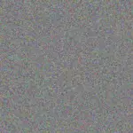 Karin Moodley karin-moodley-monica-govender-1756420764.jpeg