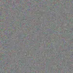 Kevin Rau kevin-rau-weston-doyle-1756420712.jpeg