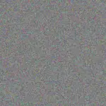 Kim Mouton kim-mouton-nthabiseng-van-dyk-1756420323.jpeg