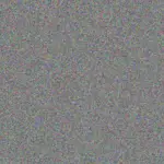 Lauryn O'Conner lauryn-o-conner-chelsie-leffler-1756420728.jpeg