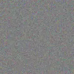 Leigh Nell leigh-nell-bronwyn-ntshangase-1756420411.jpeg