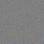 Leon Els leon-els-carel-phiri-1756421314.jpeg