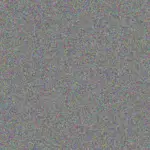 Lesley Vermaak lesley-vermaak-nompumelelo-barnes-1756421221.jpeg