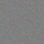 Lisa Johnson lisa-johnson-tshepiso-mashele-1756421208.jpeg