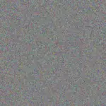 Louise Fourie louise-fourie-boitumelo-horn-1756421251.jpeg